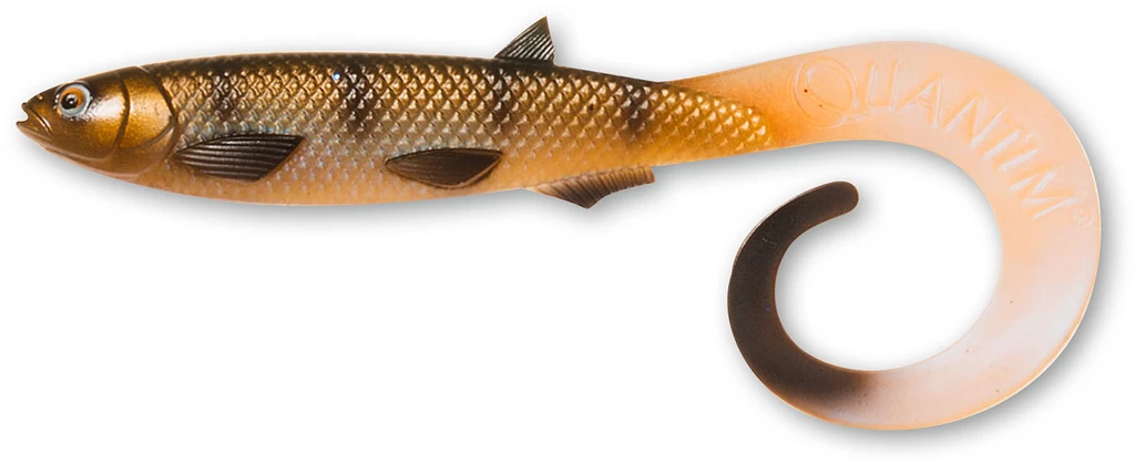 Quantum Yolo Curly Shad - Gummifisch 21cm Oder 26cm